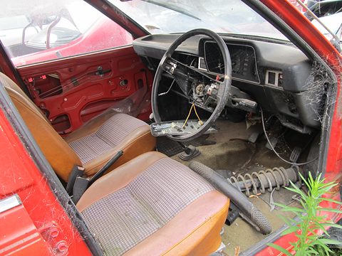 Inside a derelict red small car: torn brown seats, a bare steering wheel, an empty dashboard and weeds growing in through the floor.