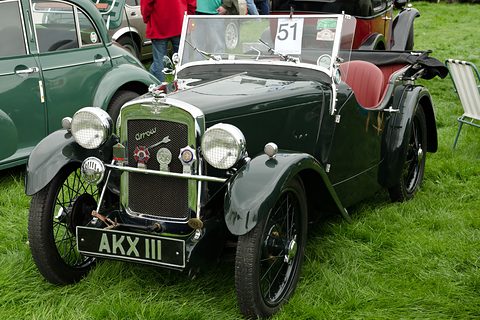 A dark green two-seater with flowing wings and a chrome radiator on grass, other cars behind. Opens a larger view