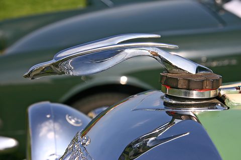 A chrome bird mascot with outstretched wings on a radiator cap above a polished cowl. Opens a larger view