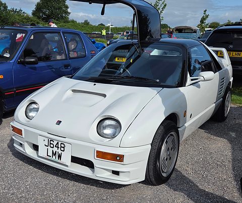 White small coupé with round headlamps and one gullwing door raised, parked among cars at a gathering. Opens a larger view