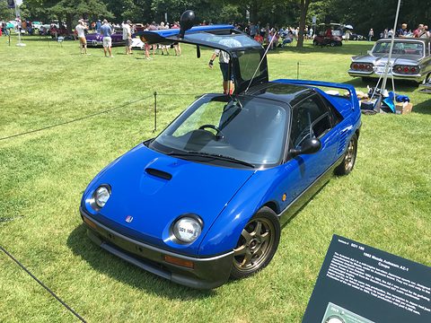 Blue small coupé with both gullwing doors raised, parked on grass behind a rope with an information board. Opens a larger view