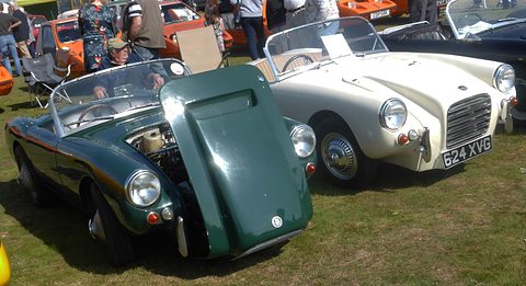 Dark green sports car with its front-hinged bonnet up, a white one alongside on grass. Opens a larger view