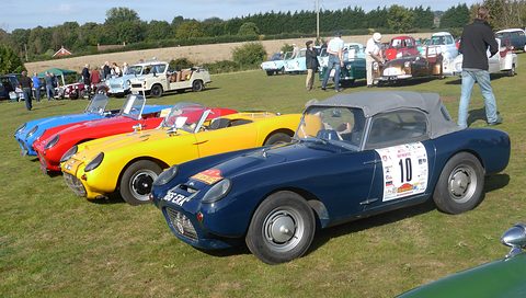 Row of small open sports cars in blue, red and yellow on grass, a navy one with rally plates in front
