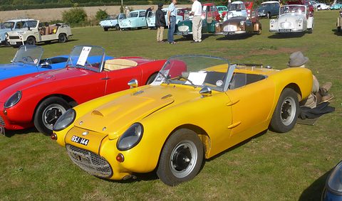 Yellow open two-seater parked on grass beside a red one, other small cars behind. Opens a larger view