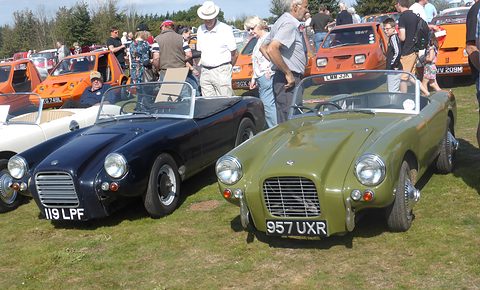 Navy and olive-green open sports cars with grilles parked on grass, visitors behind. Opens a larger view