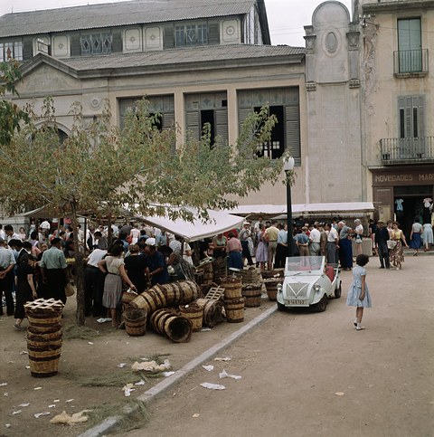 Colour photograph of a crowded market under trees, stacks of wooden barrels, and a small white open car parked at the kerb. Opens a larger view