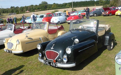 A dark green three-wheeler with a red grille beside a cream one, on grass under a pale sky. Opens a larger view