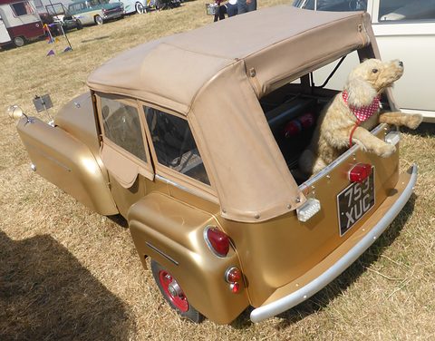 Gold three-wheeler with a beige hood seen from behind, a toy dog in a red neckerchief in the back. Opens a larger view