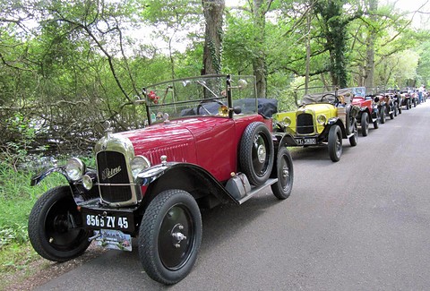A red open car at the head of a long line of small vintage cars parked along a wooded lane.