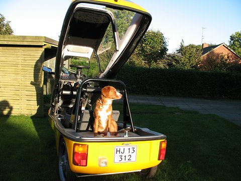 Rear view of a yellow three-wheeler with its glazed top tipped up and a brown dog in the boot. Opens a larger view