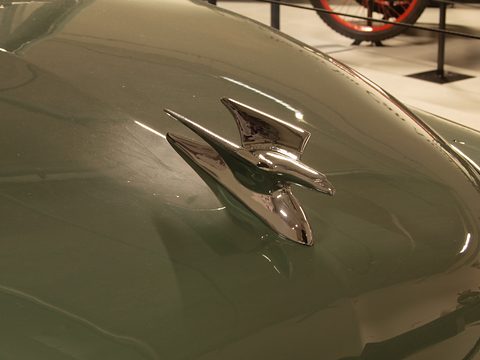 Chrome stylised bird mascot on a curved sage-green bonnet. Opens a larger view