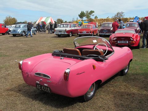 Rear three-quarter of a pink open roadster on grass, a row of old cars behind. Opens a larger view
