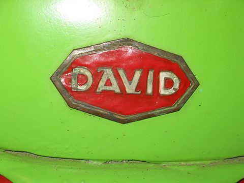 Red hexagonal enamel badge with DAVID in raised letters on green paint. Opens a larger view