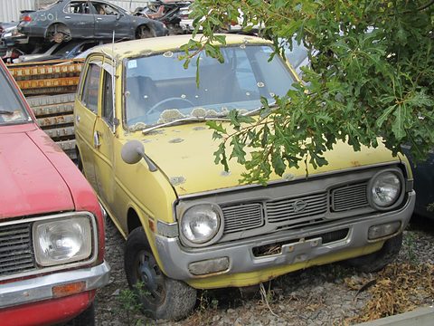 Faded yellow small saloon half under a tree in a yard of old cars, a red car beside it. Opens a larger view