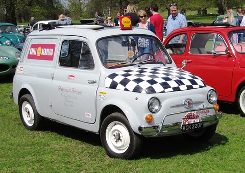 White windowless small van with a black and white chequered bonnet and rally plates on grass. Opens a larger view