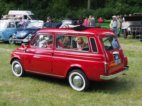 Rear of a red small estate car with a dog inside, white-wall tyres, parked on grass among other classics. Opens a larger view
