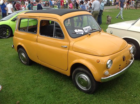 Mustard-yellow small estate car with a black roof on grass, visitors walking behind. Opens a larger view