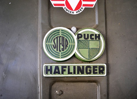 Close view of two round metal badges and a ‘Haflinger’ plate below an army badge on olive paint. Opens a larger view