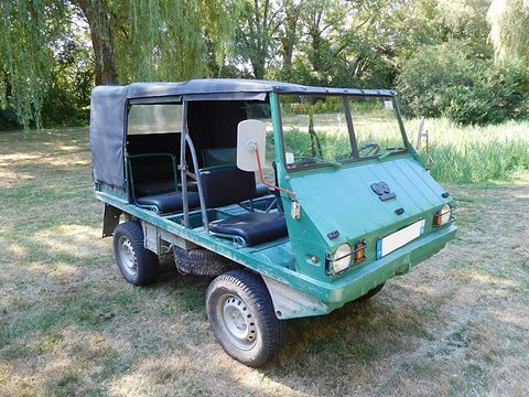Green small open 4x4 with a black canvas roof and blue seats on dry grass under willows. Opens a larger view