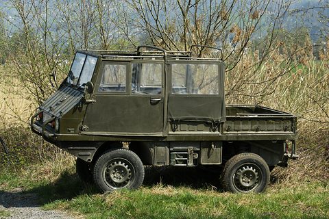 Olive small 4x4 with a long enclosed cab and short load bed parked on grass before bushes. Opens a larger view
