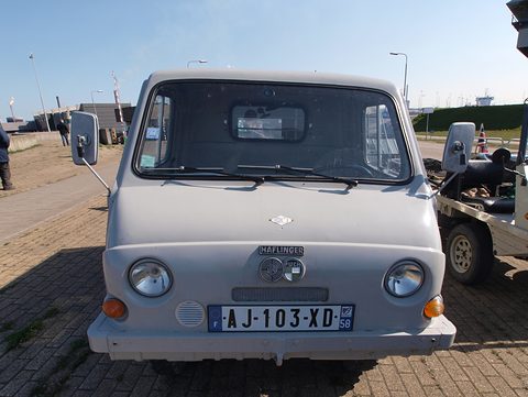 Front of a grey small truck with a rounded plastic cab, round headlamps and a French plate. Opens a larger view