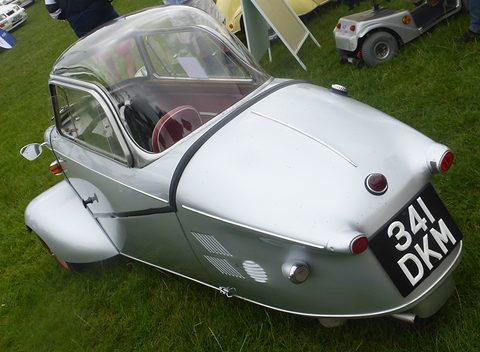 Silver tapering tail with registration 341 DKM on grass. Opens a larger view