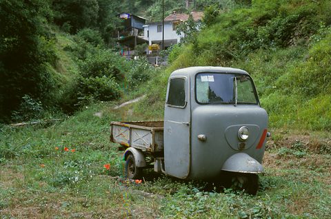 Grey three-wheeled cab-over pick-up standing in long grass with poppies, a wooded hill behind. Opens a larger view