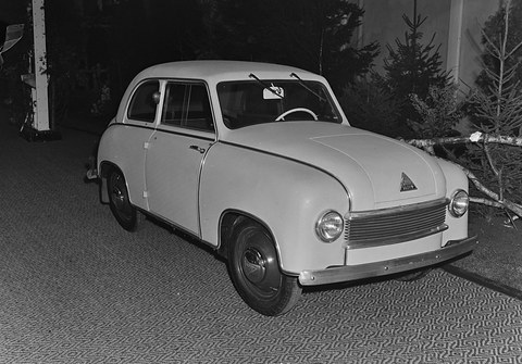 Black-and-white photograph of a light-coloured small saloon on patterned carpet, fir trees and a birch log behind.