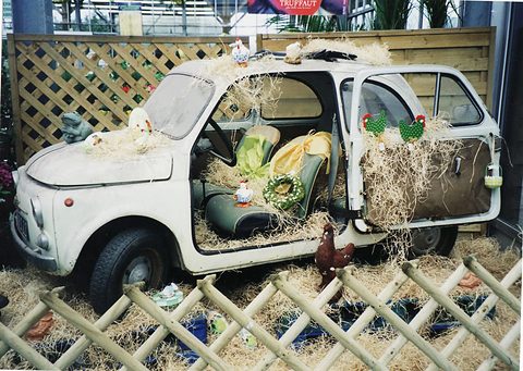 Battered white Fiat 500 with its doors open and roof off, filled with straw and toy chickens behind a lattice fence. Opens a larger view