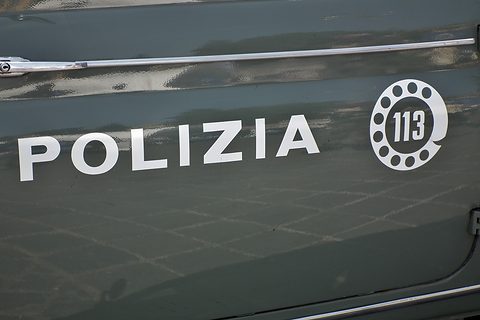 White POLIZIA lettering and a white dial-shaped 113 roundel on grey-green paint. Opens a larger view
