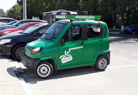 Side view of a green tiny four-door car with white palm-tree graphics and a roof sign, parked by other cars.