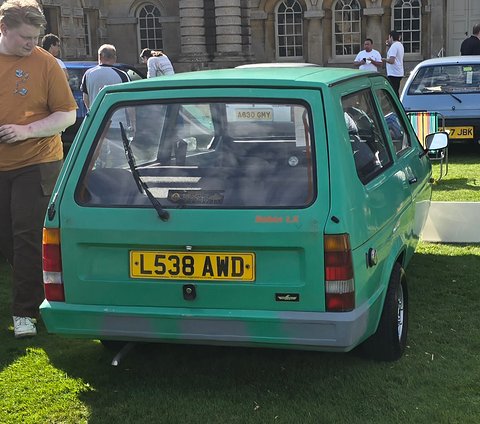 Pale green hatchback from behind on grass, a visitor standing at the left edge. Opens a larger view
