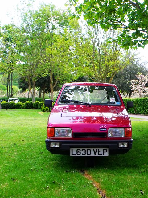 Red hatchback facing the camera on a lawn, blossom trees behind it. Opens a larger view