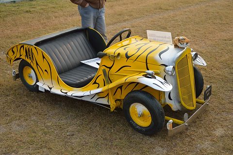 Tiny open two-seater painted yellow and white with black tiger stripes, parked empty on dry grass. Opens a larger view