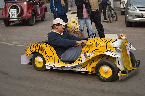 Tiger-striped miniature car driving past with a man at the wheel and a passenger in a tiger mask, spectators behind.