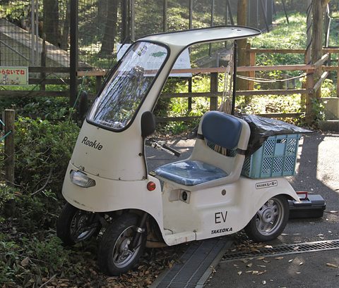 Small white open-sided electric vehicle with a roof, a single seat and a rear basket, parked by a fence and trees. Opens a larger view