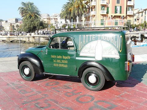 Green small van with black wings lettered for a dairy, parked by the sea with palm trees behind. Opens a larger view